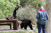 Enlarge photo 22