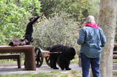 Enlarge photo 23