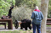 Enlarge photo 24