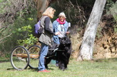 Enlarge photo 7