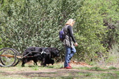 Enlarge photo 8
