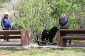 Enlarge photo 13