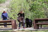 Enlarge photo 16