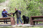 Enlarge photo 17
