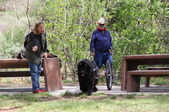 Enlarge photo 20