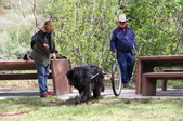 Enlarge photo 21