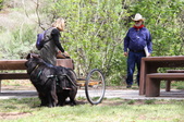 Enlarge photo 22