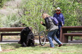Enlarge photo 24