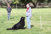 Enlarge photo 23