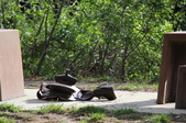 Enlarge photo 14