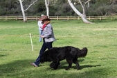 Enlarge photo 14