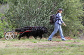 Enlarge photo 3