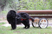 Enlarge photo 15