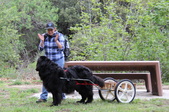 Enlarge photo 21