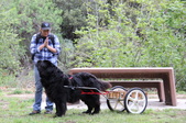 Enlarge photo 23