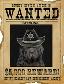 Sterling