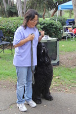 Enlarge photo 3