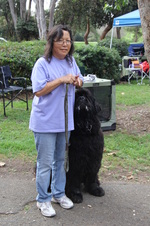 Enlarge photo 4