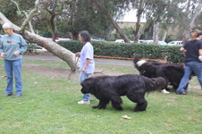 Enlarge photo 9