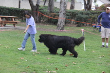 Enlarge photo 11