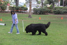 Enlarge photo 12