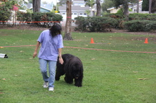 Enlarge photo 13