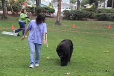 Enlarge photo 14