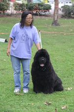 Enlarge photo 16
