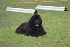 Abby Frueh