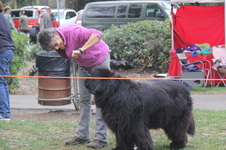 Enlarge photo 7