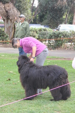 Enlarge photo 9