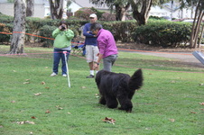 Enlarge photo 10