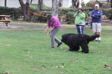 Enlarge photo 11