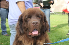 Louie Maltby