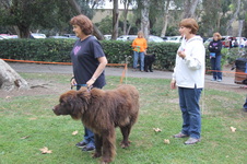 Enlarge photo 6