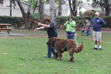 Enlarge photo 9