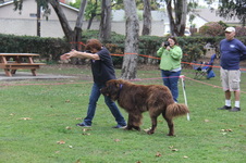 Enlarge photo 10
