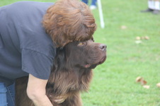 Enlarge photo 16