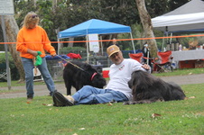 Enlarge photo 5