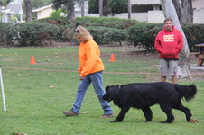 Enlarge photo 7