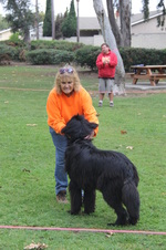 Enlarge photo 14