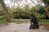Enlarge photo 10