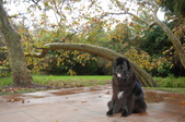 Enlarge photo 11