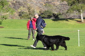 Enlarge photo 18