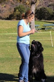 Enlarge photo 18