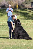 Enlarge photo 23