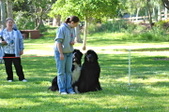 Enlarge photo 17