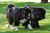 Enlarge photo 22