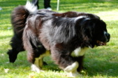 Enlarge photo 24