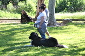Enlarge photo 4